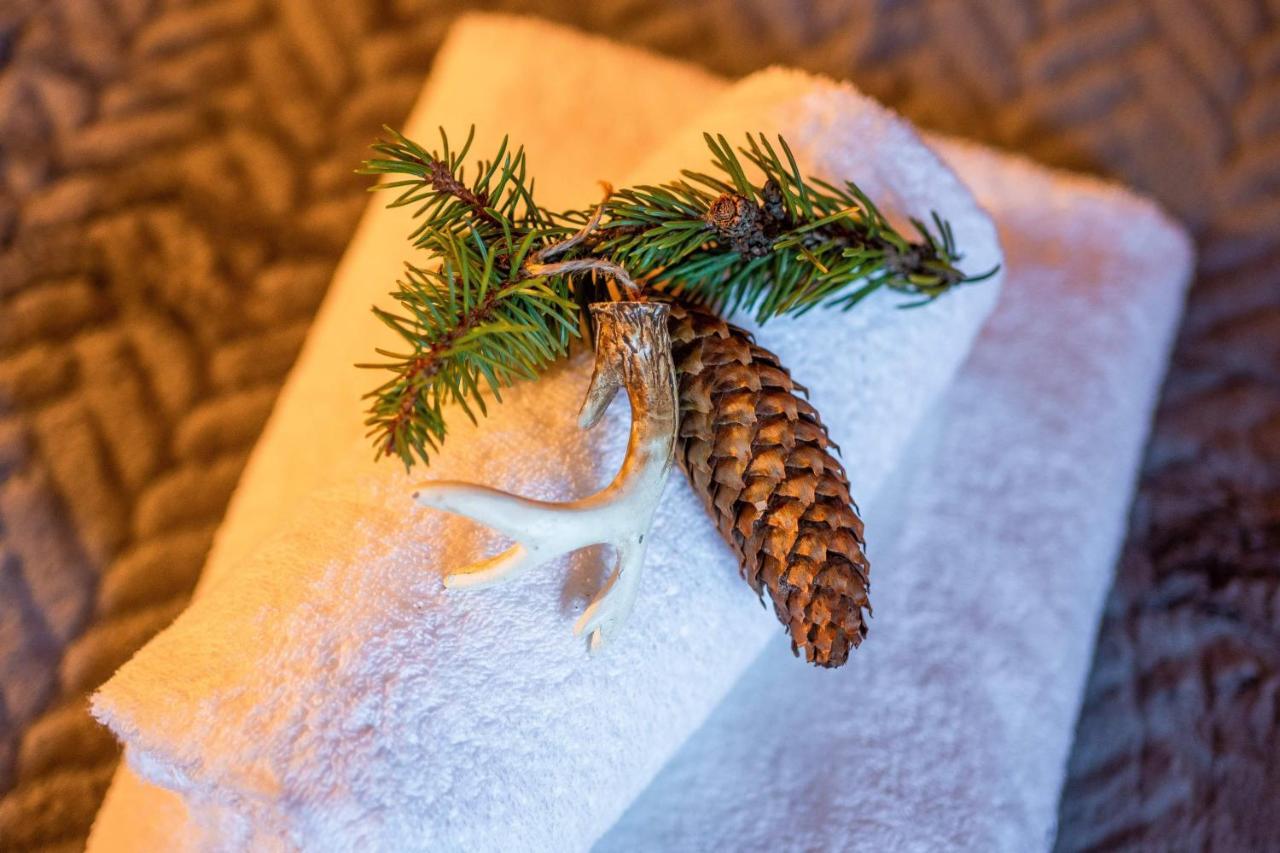 Domki Widokowe Wooden Luxury Chalet & Jacuzzi Zab Εξωτερικό φωτογραφία